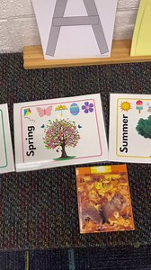 Introducing the four seasons has never been this fun! Join me in singing along to our catchy seasons song and check out these vibrant seasons posters that make learning interactive and memorable. Want to bring this experience to your classroom? Our 4 Seasons Pack is available on my website. 🍁❄️🌸☀️ #PreschoolVibes #PreschoolTeacher #FourSeasons #teacher #EarlyEducation #EarlyLearning | Preschool Vibes