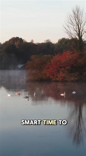 Thinking about buying a lake home? November might be the perfect time to make your move. 🍁 While the warmer months tend to steal the spotlight, buying in November offers unique advantages for lake home buyers. Here's why it could work in your favor: ✅ Less Competition – With fewer active buyers this time of year, you’ll have more breathing room and better negotiating power. ✅ Motivated Sellers – Many sellers are hoping to close before the holidays or year-end, which can lead to better deals. ✅ 