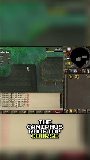 OSRS Agility Botting. Fresh Start to Max Gains!