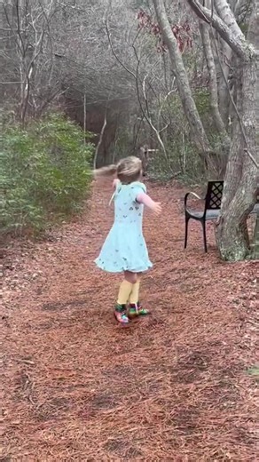 40K views · 1.2K reactions | Forest Fun #fyp #forest #fun #alwayshappy #cute | Along Came Abby | Facebook