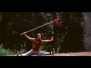 South Shaolin Master [MV]