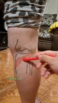 Músculo poplíteo e interóseos dorsales