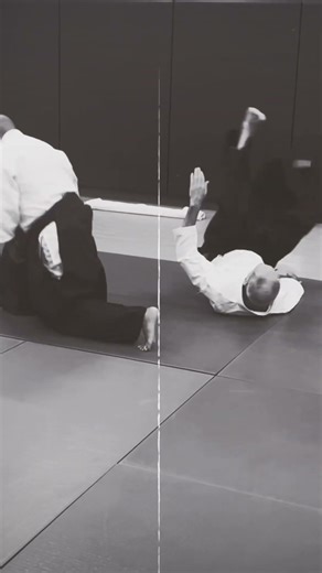 Using the Ground #aikido #martialarts
