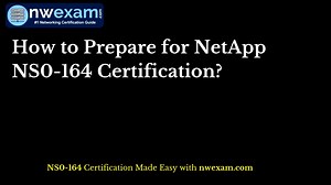 Prepare for NetApp NS0-164 Certification | Latest Practice Questions