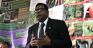 Government bans paraquat and imidacloprid from January 1st 2020