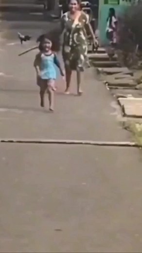 Transform Your Space with Dulux Paints