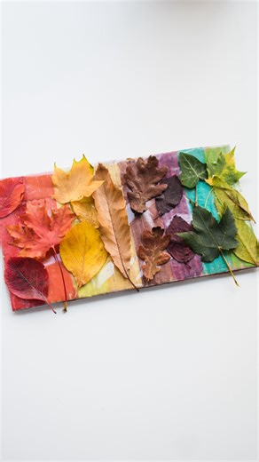 LEAF COLOUR SEARCH Save this one for a sunny day! It’s so easy to prepare these boards and once you have the cardboard bases you can swap the contact paper (sticky-back plastic) over as much as needed. Such fun for a sunny afternoon walk! 🍁 🍃 🍂 . . . #inspiremyplay #fallplay #fallactivities #autumnactivities #natureplay #outdoorplay #kidsatplay #earlyyears #preschoolplay #1000hoursoutdoors | Inspire My Play