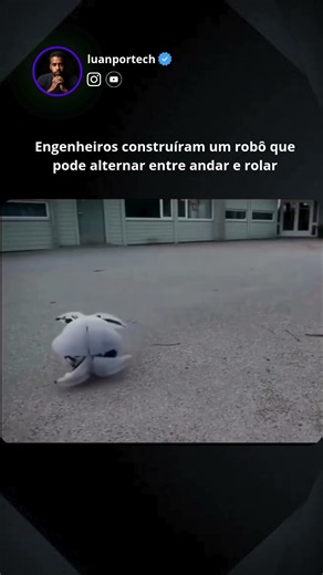 Engenheiros criaram um robô capaz de rolar