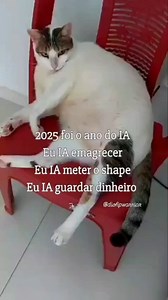 Happy Cat Móveis Para Gatos (@happycat.moveisparagatos) • Instagram photos and videos