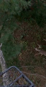 83K views · 1.6K reactions | #hunting #whitetaildeer #huntsenddeerranch | Hunt's End Deer Ranch | Facebook