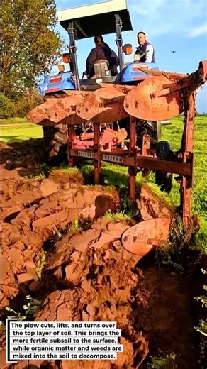 Plowing Paddy Fields – Prepare Land Efficiently!