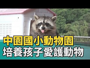 生命教育 愛護動物|中園國小動物園 從小培養孩子愛護動物