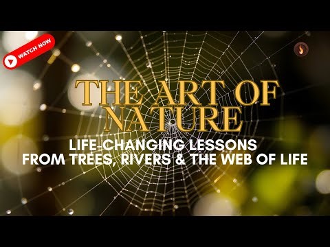 The Wisdom of Nature: Life-Changing Lessons from Trees, Rivers & the Web of Life 🌿💡