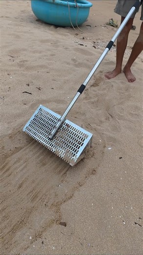 Mysterious Treasure Discovered During Beach Cleanup