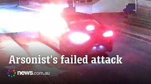 Bumbling would-be arsonists set themselves on fire in epic fail