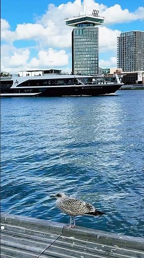 Top Destination-Amsterdam Netherlands 荷蘭阿姆斯特丹#nature #travel #cruiseports