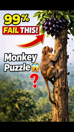 Confuse చేసే monkey problem 🐒 logic మిస్ అయితే magic మిస్ అవుతారు! ✨