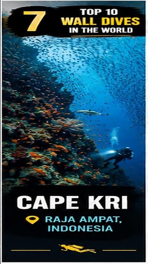 Cape Kri, Raja Ampat | The Most Biodiverse Dive on Earth?