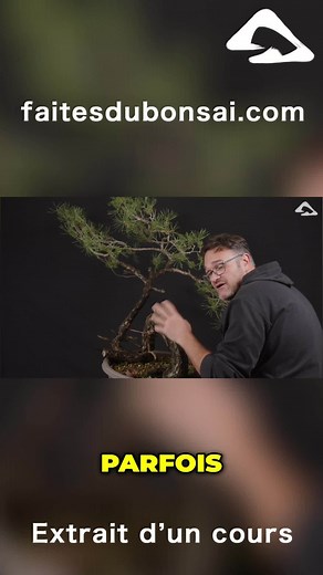 ✅ LIEN VERS LE COURS COMPLET : https://faitesdubonsai.com/course/techniques-pliages ✍ SUIVEZ-NOUS sur les réseaux sociaux (Instagram, Facebook et Youtube) : @faitesdubonsai #faitesdubonsai #bonsai #coursbonsai #bonsailife #bonsailovers #bonsaitree #bonsaiart #bonsaistyle #bonsailove #bonsaipassion | Faites du bonsaï