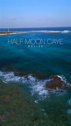 Dive Deep into Belize – Snorkel, Dive, Kayak, and More! Your Ultimate Vacation Starts Here. ‍♀️ | Island Expeditions | Facebook