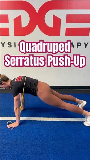 Quadruped Serratus Push Up