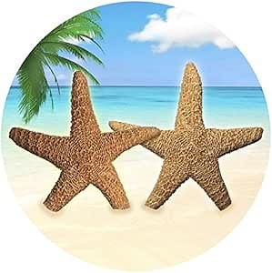 Screen Door Magnets Double Sided – Keep People, Kids, and Dogs from Running into The Screen Door - Robbins Aria Star Fish
