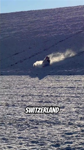 Our First Snowfall This Winter | ZH Switzerland Walk ❄️