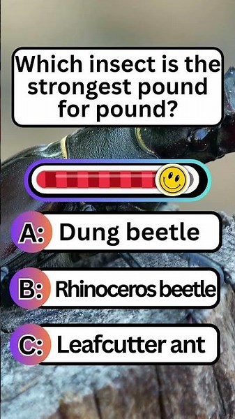Animal Quiz Guess the answer #quiz #generalknowledge #animals