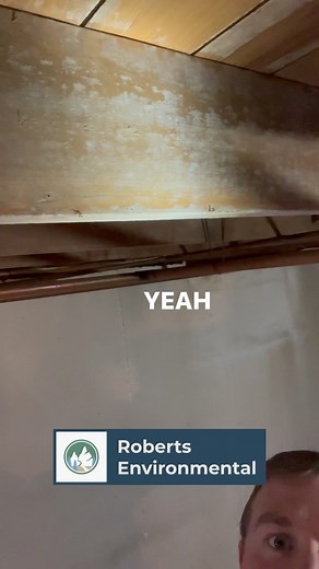 6 comments | Humidity , the elusive mold creator, claims another...