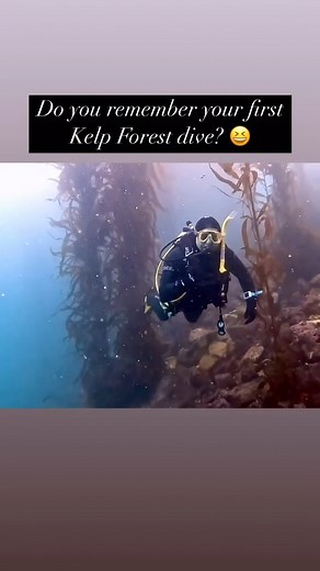 Let’s recap some of our most fun scuba classes! Learn to dive in Monterey Bay or join us for some awesome training in the Philippines, Indonesia, or Bonaire! Check out all of our upcoming classes and trips at https://www.centralcoastscuba.com Best Fishes, Central Coast Scuba 🤿 #scuba #diveallday #centralcoastscuba #diving #montereybay #uwvideo #uwvideography #padi #paditv #learntodive #scubastudents | Central Coast Scuba