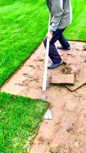 Neatly cutting green grass using simple tools to achieve a clean and beautiful garden result