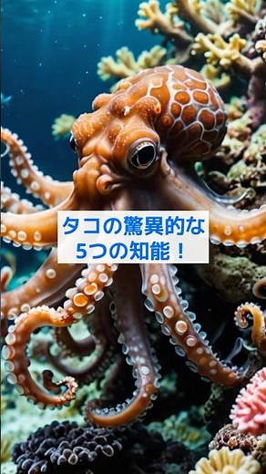 【動物雑学AI】タコの驚異的な5つの知能！ 🌊🐙 #shorts