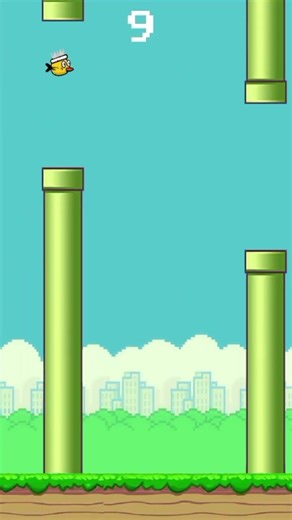 FLAPPY WINGS || BIRDY BIRD 🐦 NEW RECORD ( 15 )