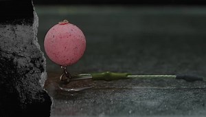 2.5K views · 13 reactions | Darrell Peck on Reels | Facebook