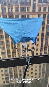 118K views · 44 reactions | Easy DIY Rainwater Harvesting #RainwaterHarvesting #DIYProjects #SustainableLiving | YNP Media | Facebook