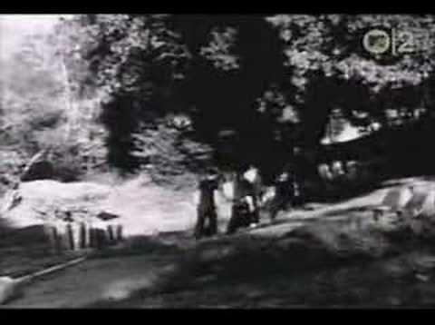 AFI - Total Immortal