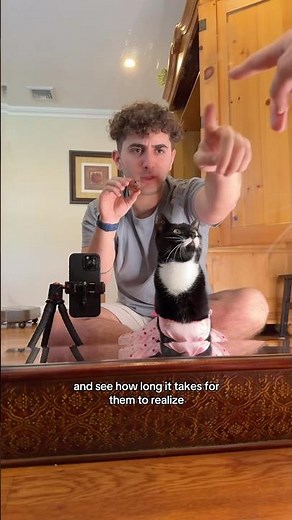 How to test your cats IQ…