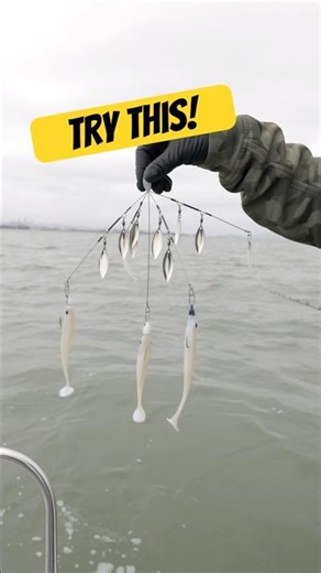 Umbrella Rig Catches Halibut! #fishing