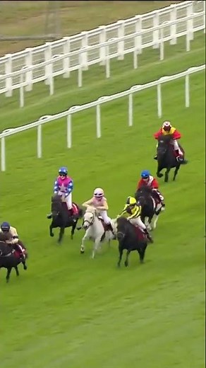 All-the-way winner of this Shetland Pony race #horse #horseracing #racingtv #britishhorseracing