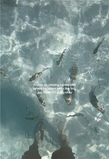 maybe we should move back to the panhandle, i think that’s the closest water i’m gonna get in the US