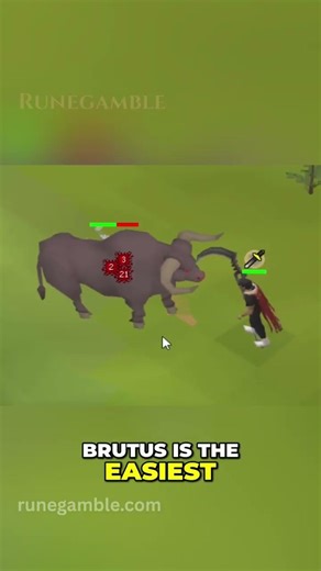 This Boss Is Level 30… And Still Tricks You