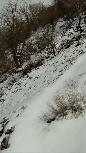 Following a Snow-Dusted Mountain Path