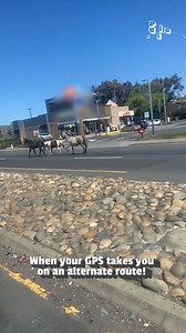 142K views · 1K reactions | Talk about horsepower!  | Try Not to Laugh | Facebook