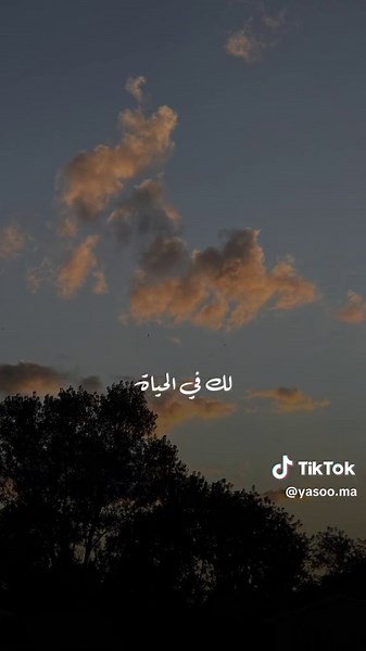 Creative Short Clips for WhatsApp Using CapCut