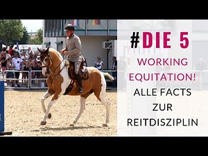Working Equitation! Der deutsche Meister Mitja Hinzpeter erklärt dir alles was wissen musst