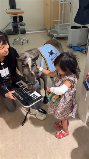 Waiting for x-rays can be scary, so Willow Blue kept our tiny patient distracted and comforted. We love our bi weekly visits with the children at Shriners. @shrinerssocal @equusfoundation #horse #minitherapyhorses #wellness #minihorse #healing #love #community #comfort #happiness #xrays #medical | Mini Therapy Horses