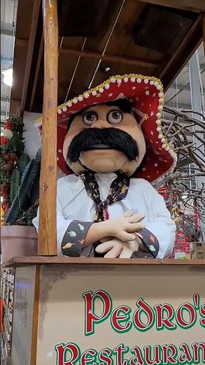 Pasqually Chuck E Cheese Sings Pizza Time Theatre Band ShowBiz The Rock-afire Explosion Animatronic