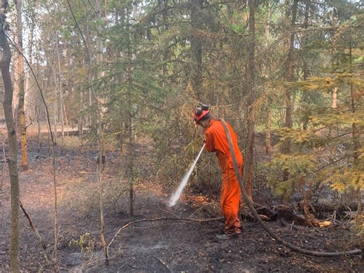 Sask. in 'much better situation' after weekend rain tempers wildfires: SPSA