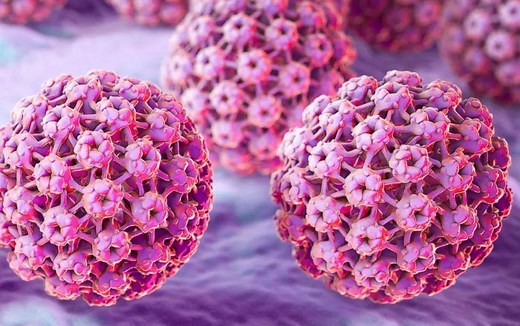 HPV病毒的基本结构