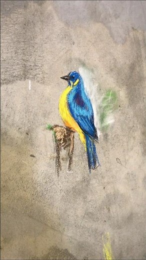 How to Draw a Bird Step by Step | Easy Bird Drawing for Beginners